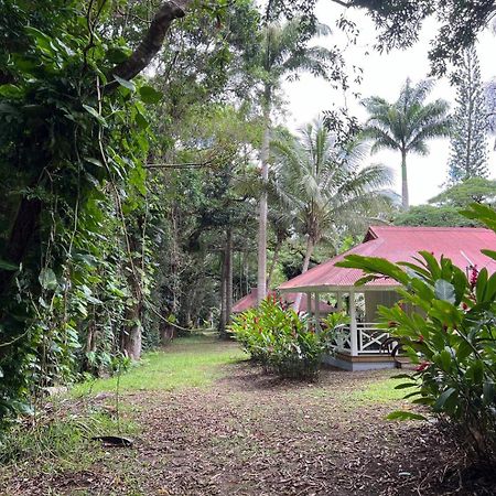 Evasion Bungalow D'Antan Spa Sarraméa Exterior foto